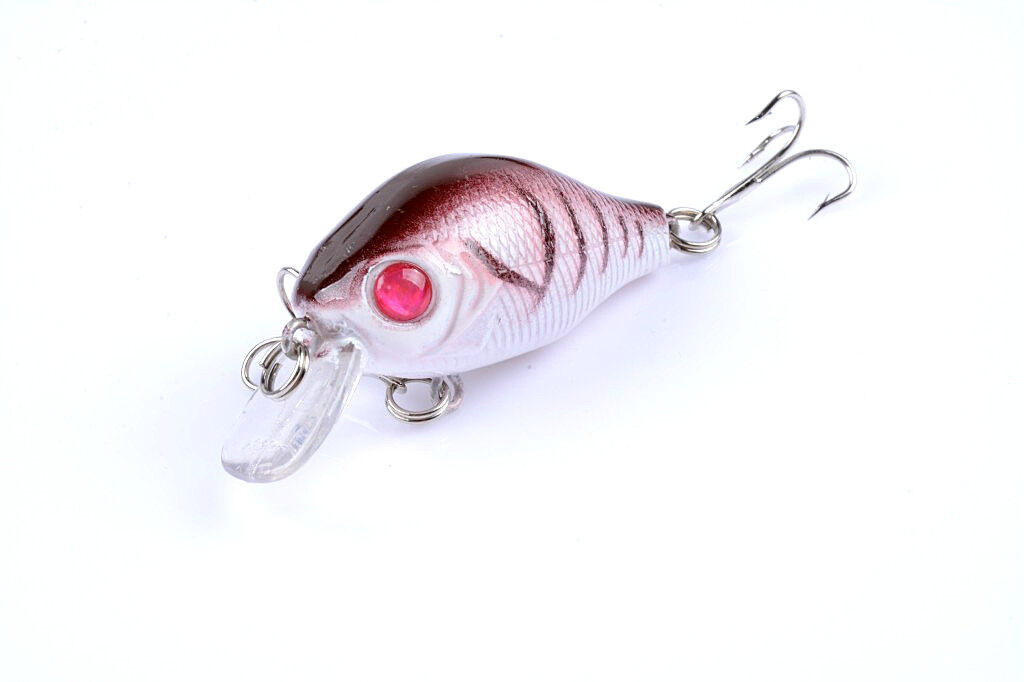 5x 5.5cm Popper Crank Bait Fishing Lure Lures Surface Tackle Saltwater Price