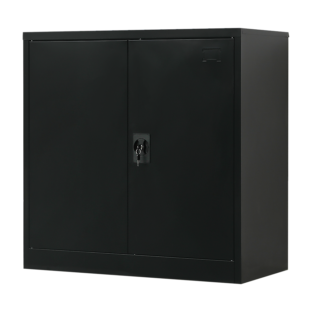 Two-Door Metal Short Cabinet Shelf Storage for Home Office Gym Price