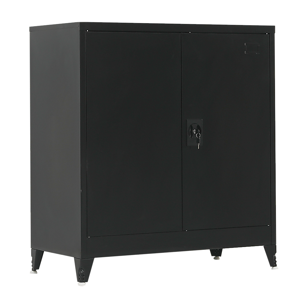 Two-Door Metal Short Cabinet Shelf Storage for Home Office Gym Price