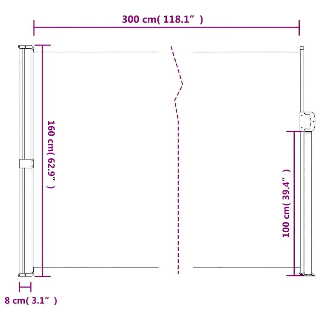 Retractable Side Awning Black 160x300 cm Price