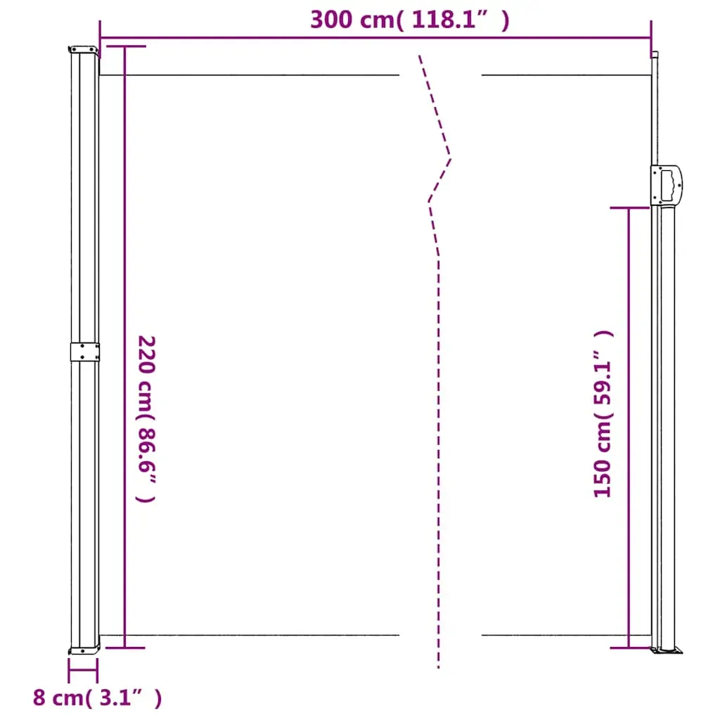 Retractable Side Awning Anthracite 220x300 cm Price