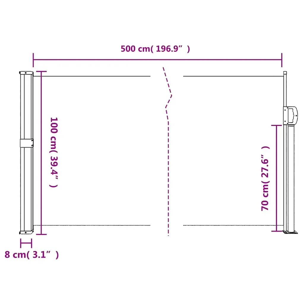 Retractable Side Awning Anthracite 100x500 cm Price