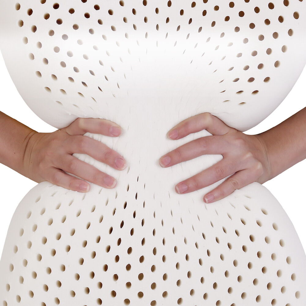 Natural Latex Pillow 2-Zone Twin Pack Price