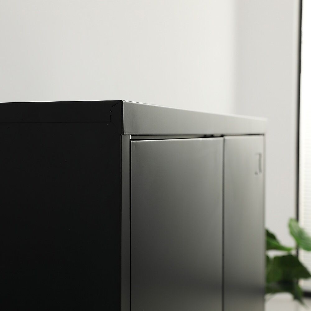 Two-Door Metal Short Cabinet Shelf Storage for Home Office Gym Price
