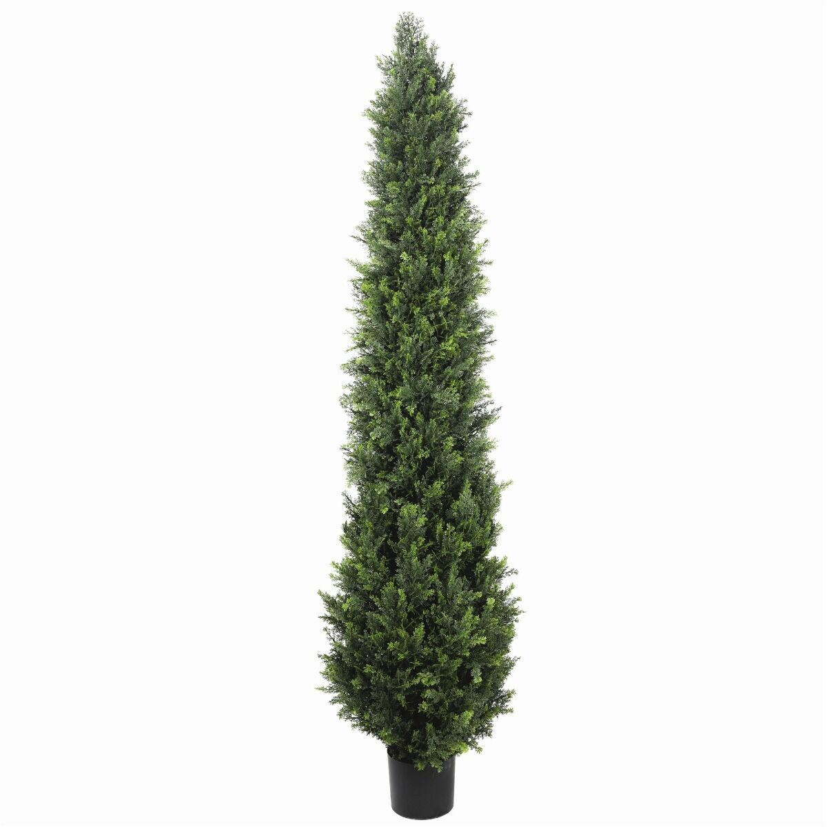 UV Resistant Cypress Pine Tree UV Resistant Cypress Pine Tree