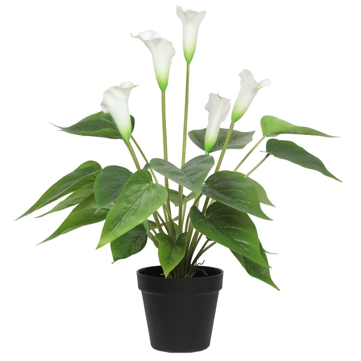 Artificial Flowering Peace Lily / Calla Lily Plant 50cm Artificial Flowering Peace Lily / Calla Lily Plant 50cm