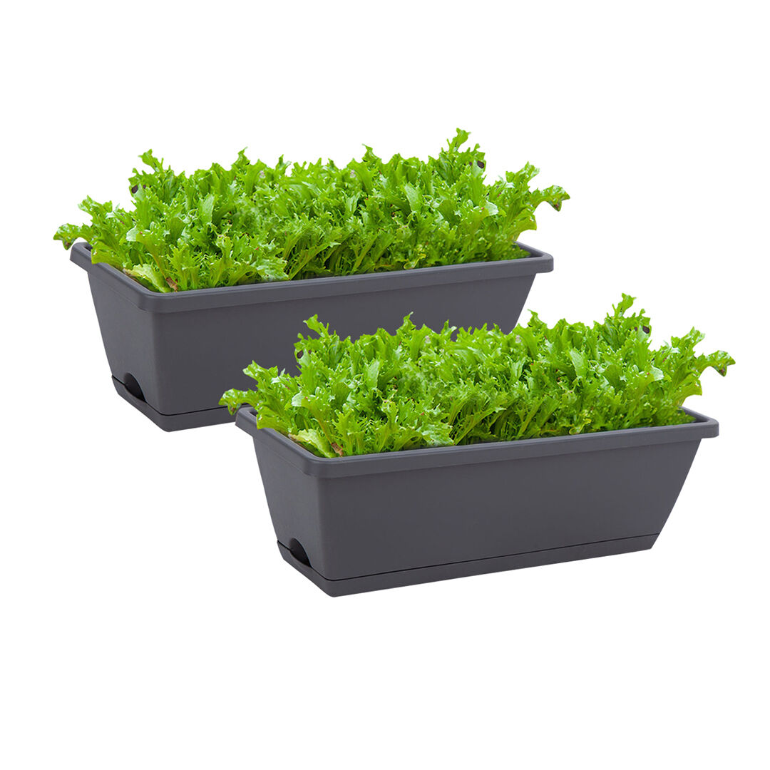 49.5cm Rectangular Planter Vegetable Herb Flower Outdoor Plastic Box with Holder Balcony Garden Décor 49.5cm Rectangular Planter Vegetable Herb Flower Outdoor Plastic Box with Holder Balcony Garden Décor