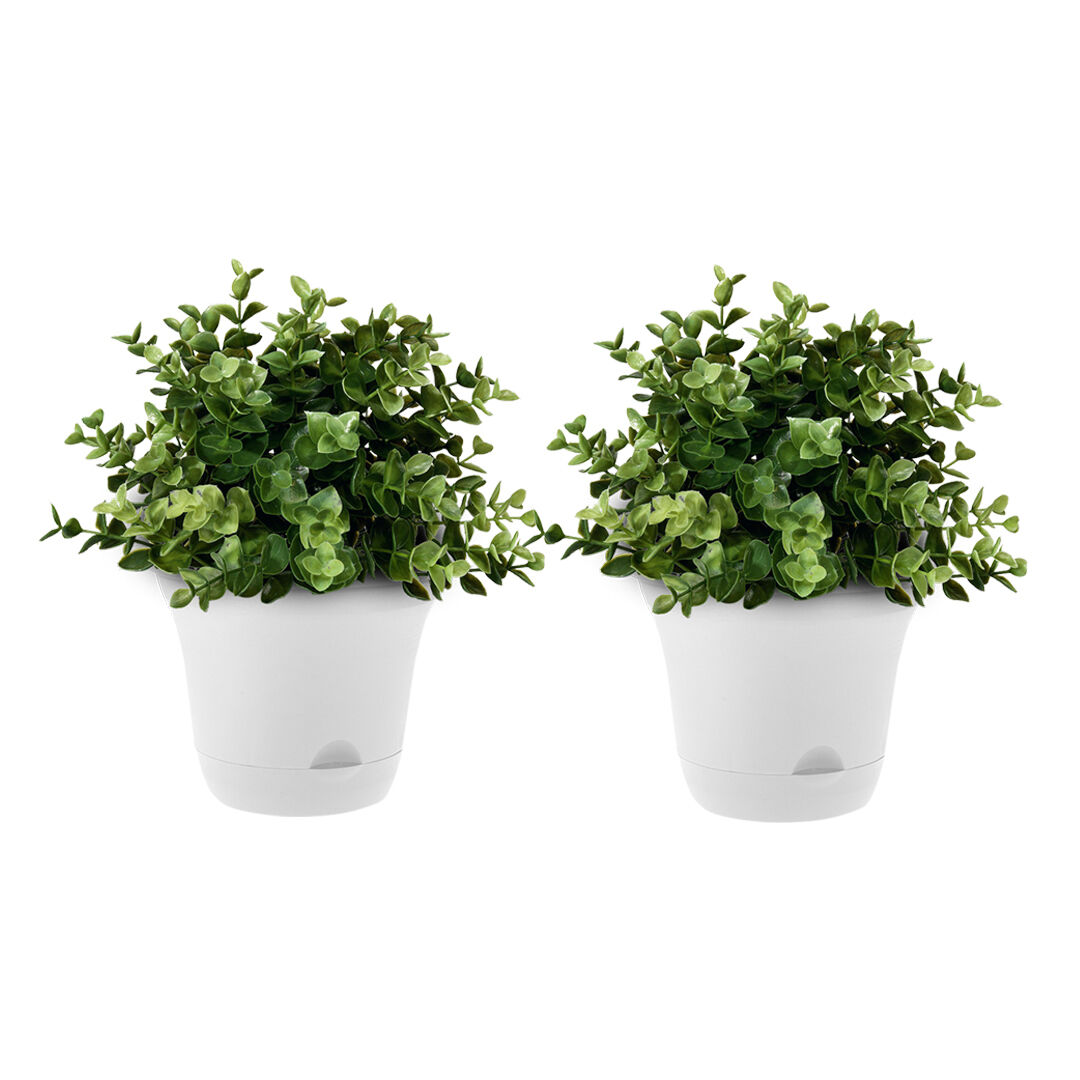 20cm Plastic Plant Pot Self Watering Planter Flower Bonsai Indoor Outdoor Garden Decor 20cm Plastic Plant Pot Self Watering Planter Flower Bonsai Indoor Outdoor Garden Decor