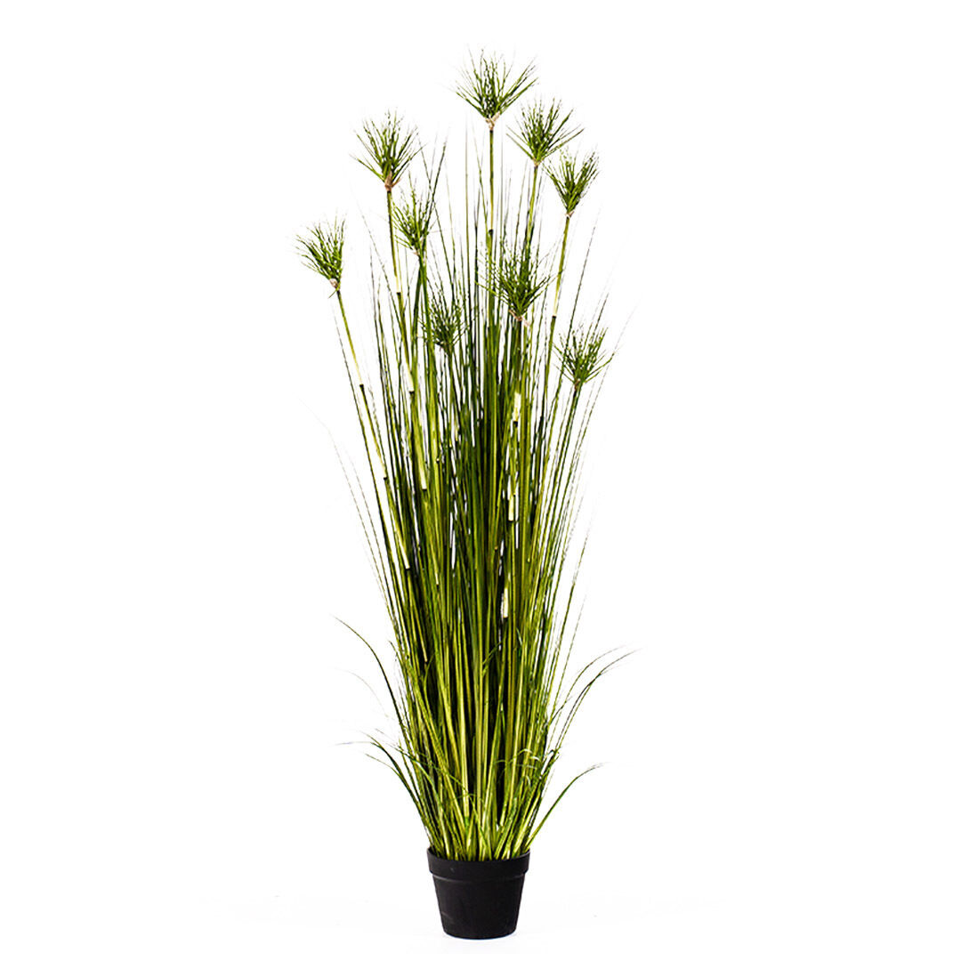 Purple Artificial Indoor Potted Papyrus Plant Tree Fake Simulation Decorative Purple Artificial Indoor Potted Papyrus Plant Tree Fake Simulation Decorative