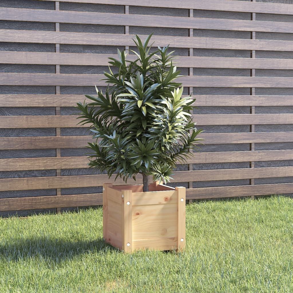 Garden Planter 31x31x31 cm Solid Pinewood Garden Planter 31x31x31 cm Solid Pinewood