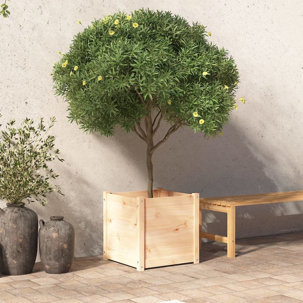 Garden Planter 50x50x50 cm Solid Pinewood Garden Planter 50x50x50 cm Solid Pinewood
