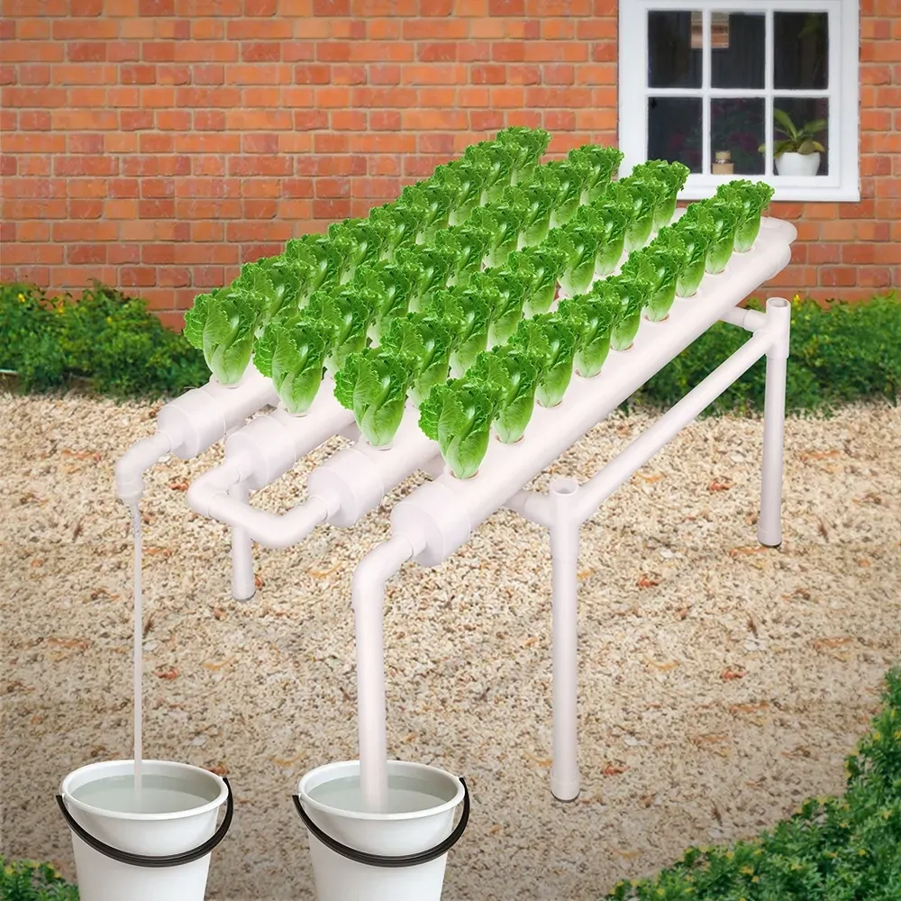 36 Sites Hydroponic Grow Tool Kits Vegetable Garden System 220V Water Pump 36 Sites Hydroponic Grow Tool Kits Vegetable Garden System 220V Water Pump