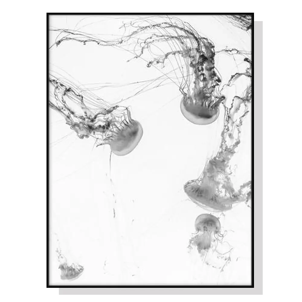 Wall Art 100cmx150cm Jellyfish Black Frame Canvas Wall Art 100cmx150cm Jellyfish Black Frame Canvas