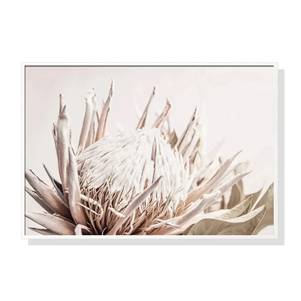 Wall Art 100cmx150cm Pure Protea II White Frame Canvas Wall Art 100cmx150cm Pure Protea II White Frame Canvas