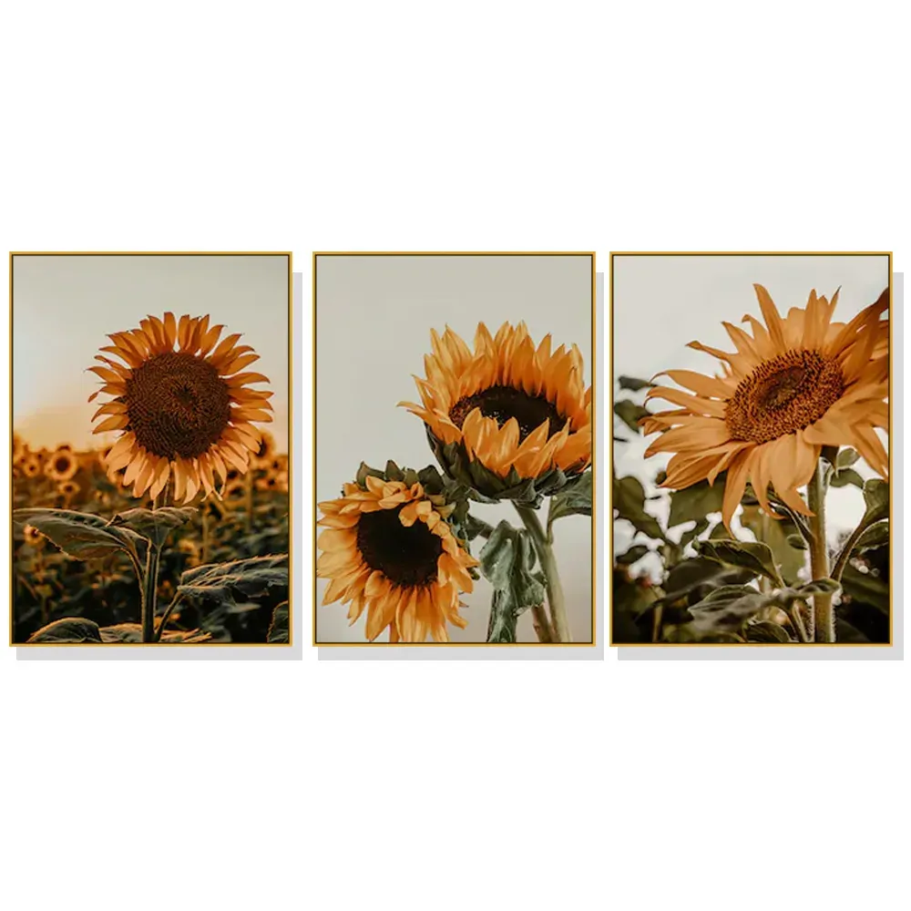 40cmx60cm Sunflower 3 Sets Gold Frame Canvas Wall Art 40cmx60cm Sunflower 3 Sets Gold Frame Canvas Wall Art