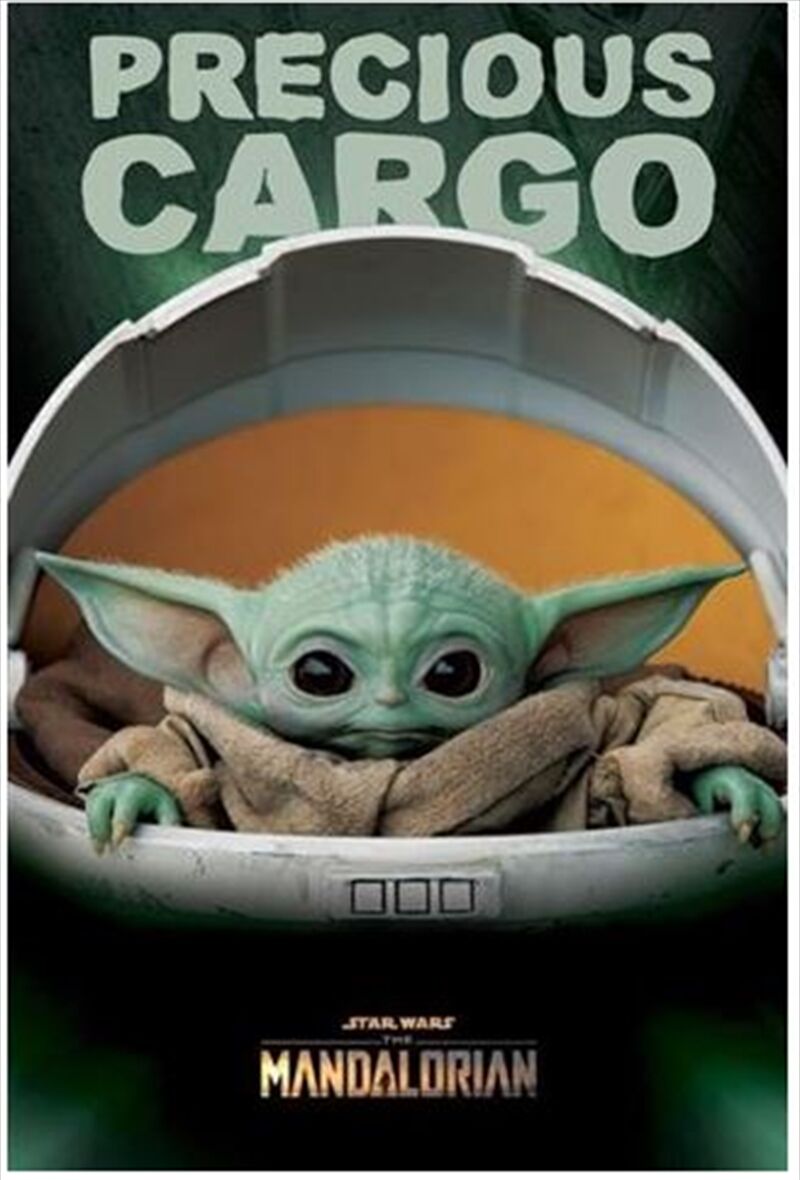 Star Wars: The Mandalorian - Precious Cargo Star Wars: The Mandalorian - Precious Cargo