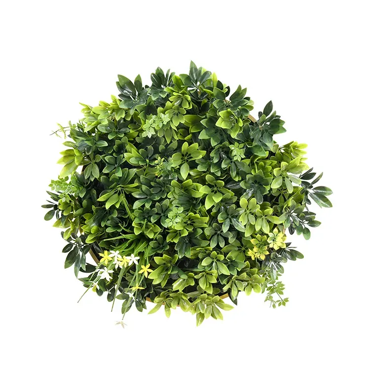 Artificial Green Wall Plant Garden Panel Daffodil Smile Disc Art 50cm Grassy UV Resistant Frame Artificial Green Wall Plant Garden Panel Daffodil Smile Disc Art 50cm Grassy UV Resistant Frame