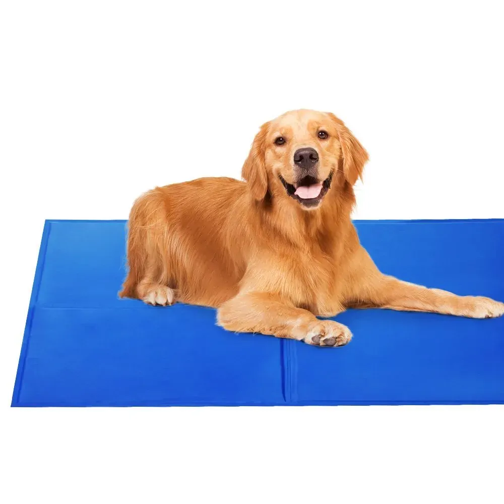 2X Pet Cooling Bed Gel Mat Dog Cat Non-Toxic Cool Pad Puppy Cold Summer 50x40 CM 2X Pet Cooling Bed Gel Mat Dog Cat Non-Toxic Cool Pad Puppy Cold Summer 50x40 CM
