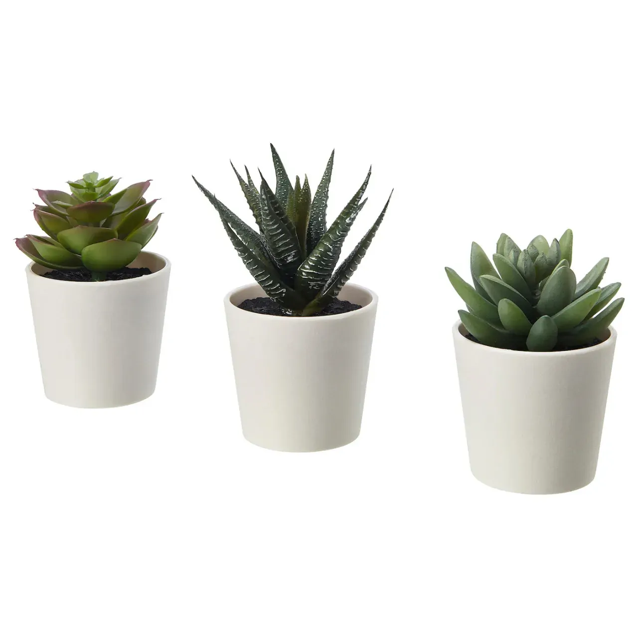 3 Pack of Artificial Succulent Potted Plants in White Plastic 6cm Pot Interior Decoration 3 Pack of Artificial Succulent Potted Plants in White Plastic 6cm Pot Interior Decoration