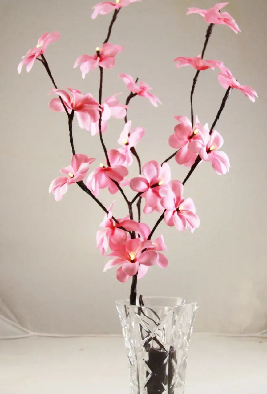 1 Set of 50cm H 20 LED Pink Frangipani Tree Branch Stem Fairy Light Wedding Event Party Function Table Vase Centrepiece Decoration Girl Bedroom 1 Set of 50cm H 20 LED Pink Frangipani Tree Branch Stem Fairy Light Wedding Event Party Function Table Vase Centrepiece Decoration Girl Bedroom