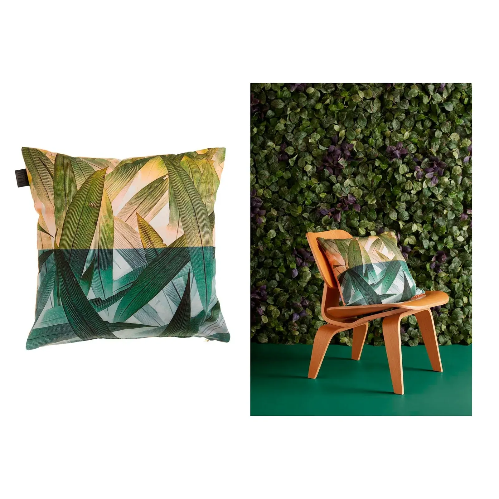 Bedding House Tropical Flora Green Quality Design Filled Polyester Cotton Cushion 45 x 45 cm Bedding House Tropical Flora Green Quality Design Filled Polyester Cotton Cushion 45 x 45 cm
