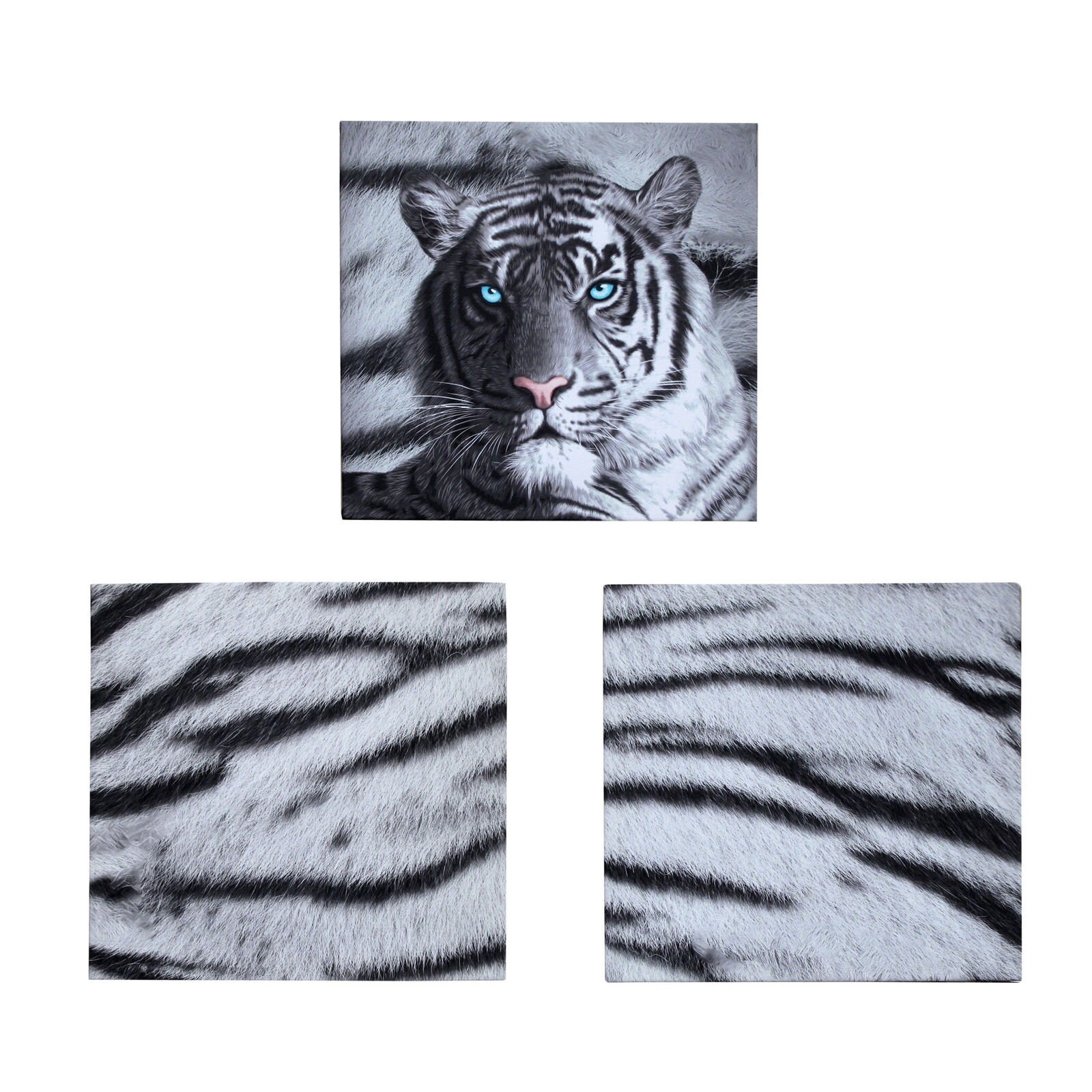 Just Home Set of 3 Printed Blue Eyes Stripes Tiger Wall Canvas Just Home Set of 3 Printed Blue Eyes Stripes Tiger Wall Canvas