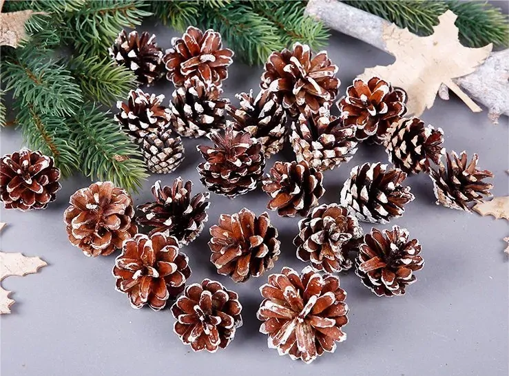 18 Christmas Natural Pine Cones Xmas Tree Hanging Home Decoration Ornament Gifts, 18x Natural w Snow Covered Pinecones 18 Christmas Natural Pine Cones Xmas Tree Hanging Home Decoration Ornament Gifts, 18x Natural w Snow Covered Pinecones
