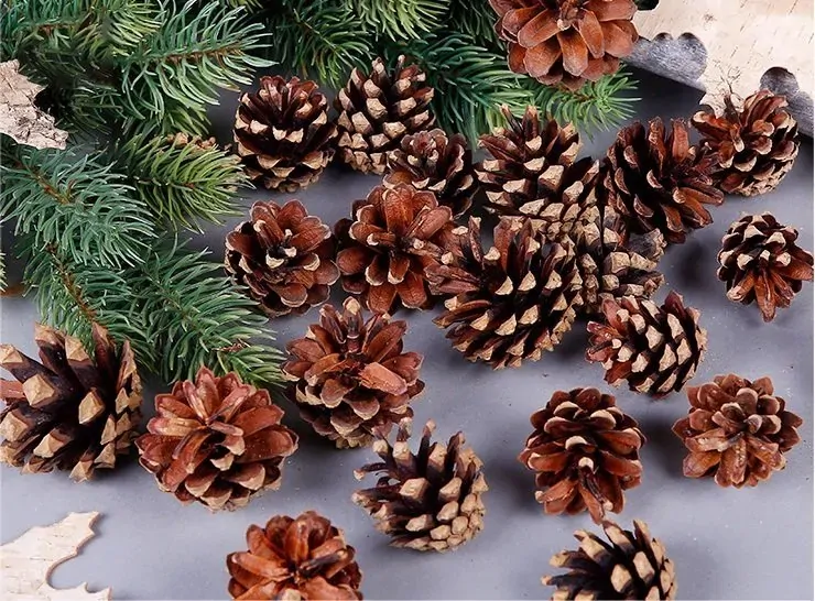 18 Christmas Natural Pine Cones Xmas Tree Hanging Home Decoration Ornament Gifts, 18x Natural Pinecones 18 Christmas Natural Pine Cones Xmas Tree Hanging Home Decoration Ornament Gifts, 18x Natural Pinecones