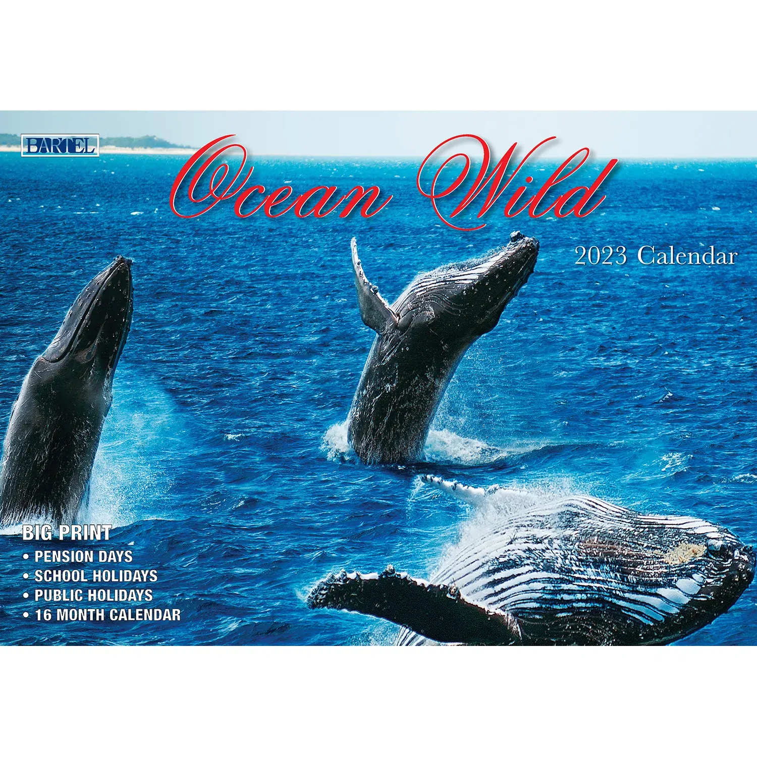 Ocean Wild – 2023 Rectangle Wall Calendar 16 Months Planner New Year Gift Ocean Wild – 2023 Rectangle Wall Calendar 16 Months Planner New Year Gift