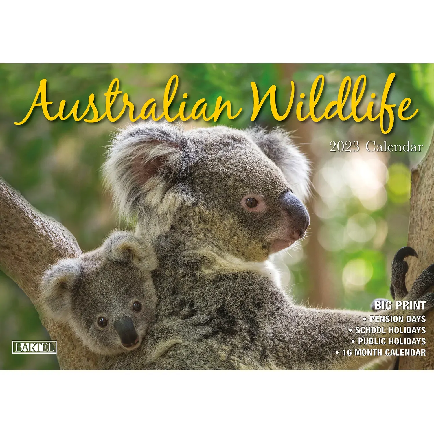2023 Australian Wildlife Rectangle Wall Calendar 16 Months Planner New Year Gift 2023 Australian Wildlife Rectangle Wall Calendar 16 Months Planner New Year Gift