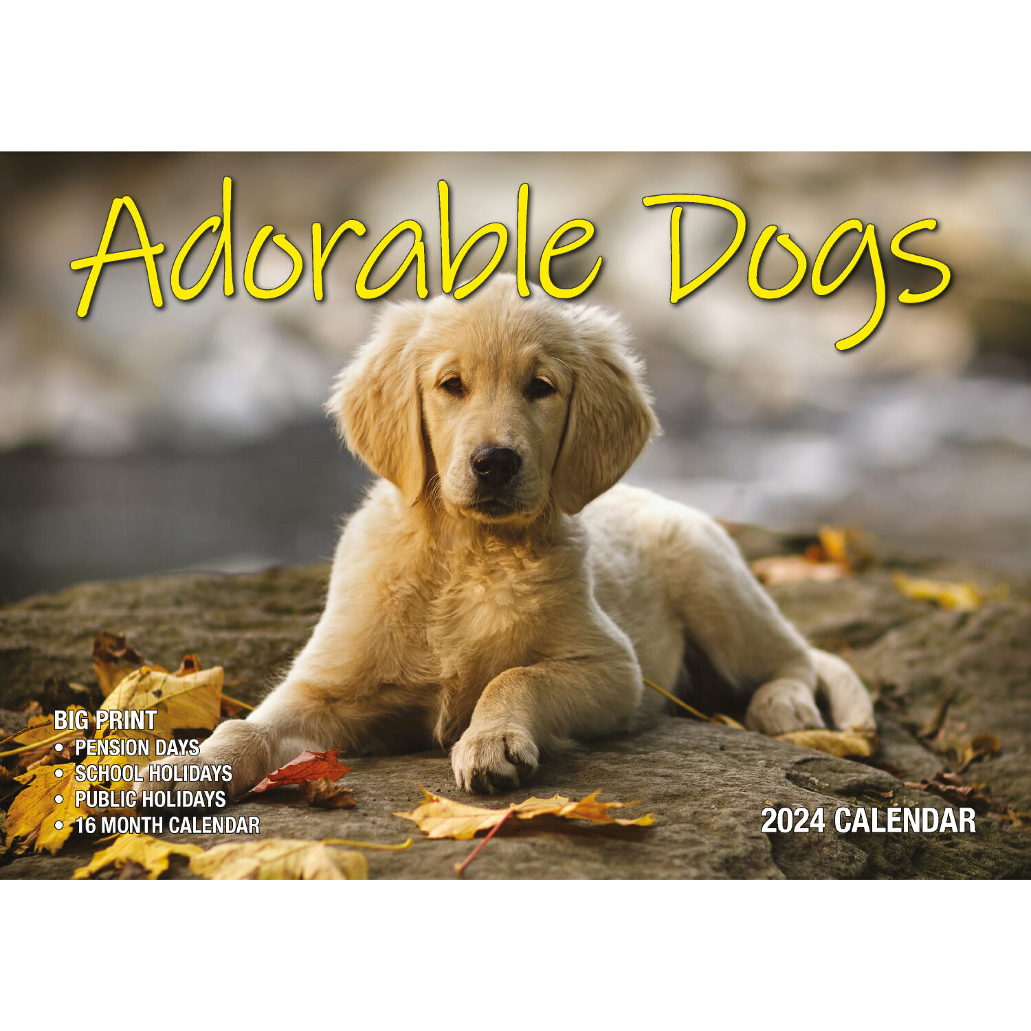 Adorable Dogs 2024 Rectangle Wall Calendar 16 Months Planner Cute Animal Photos Adorable Dogs 2024 Rectangle Wall Calendar 16 Months Planner Cute Animal Photos