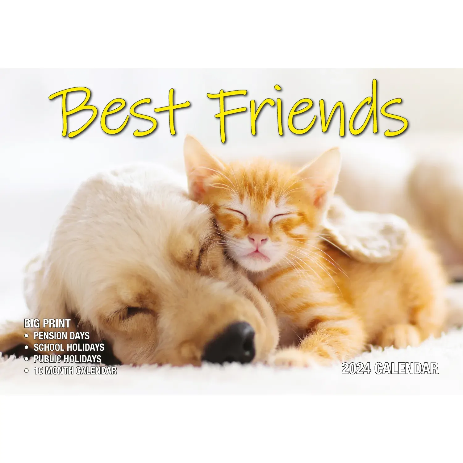 Best Friends - 2024 Rectangle Wall Calendar 16 Months Animals Friendship Moments Best Friends - 2024 Rectangle Wall Calendar 16 Months Animals Friendship Moments