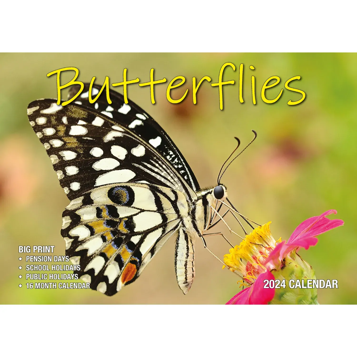 Butterflies - 2024 Rectangle Wall Calendar 16 Months Colorful Butterfly Photos Butterflies - 2024 Rectangle Wall Calendar 16 Months Colorful Butterfly Photos