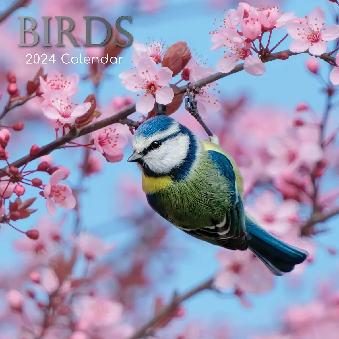 Birds - 2024 Square Wall Calendar Pets Animals 16 Months Premium Planner Gift Birds - 2024 Square Wall Calendar Pets Animals 16 Months Premium Planner Gift
