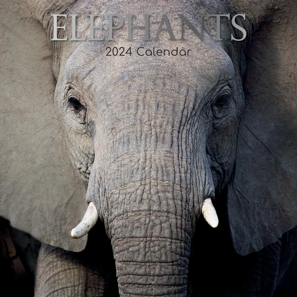 Elephants 2024 Square Wall Calendar Pets Animals 16 Months New Year Planner Gift Elephants 2024 Square Wall Calendar Pets Animals 16 Months New Year Planner Gift