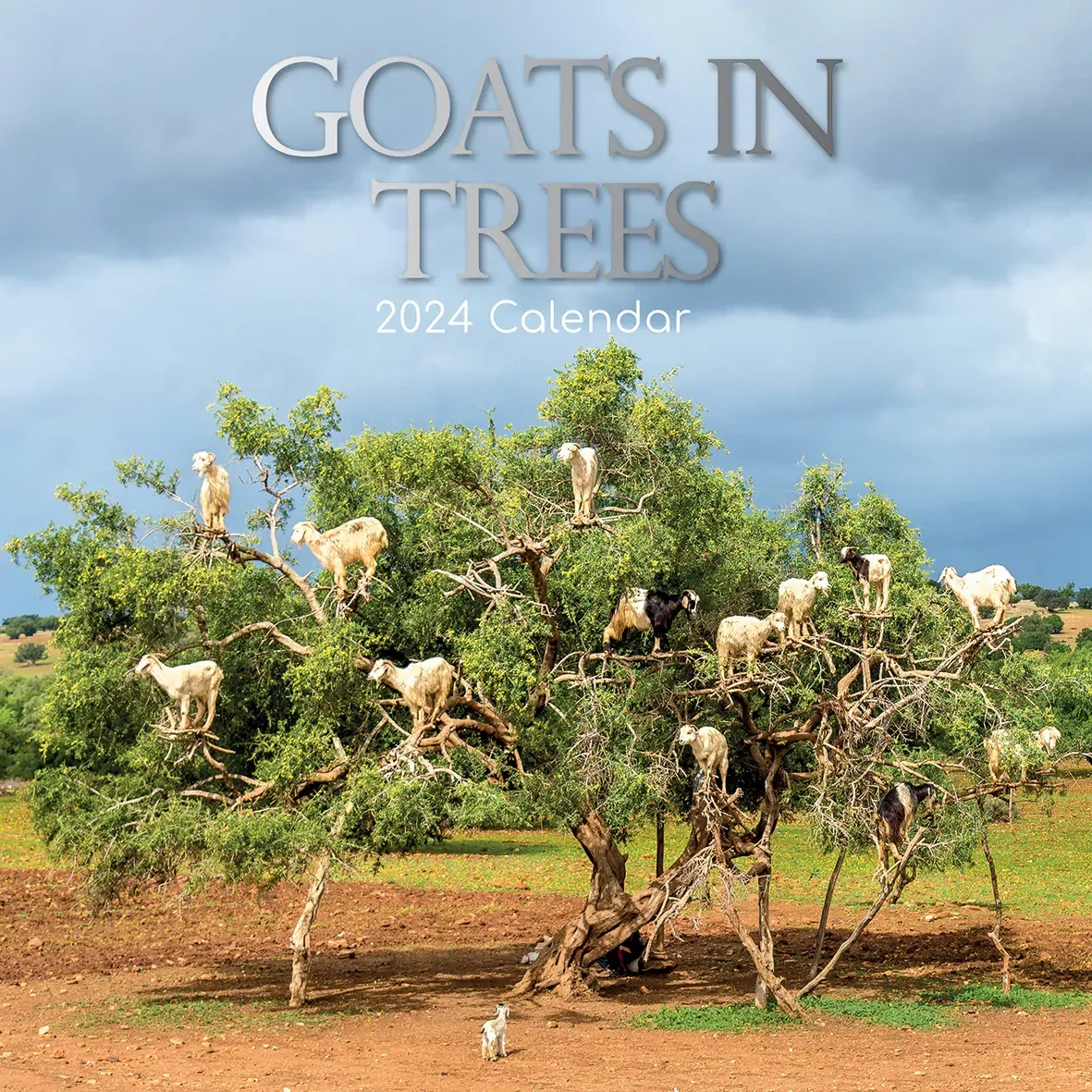 Goats in Trees - 2024 Square Wall Calendar Pets Animals 16 Month New YearPlanner Goats in Trees - 2024 Square Wall Calendar Pets Animals 16 Month New YearPlanner