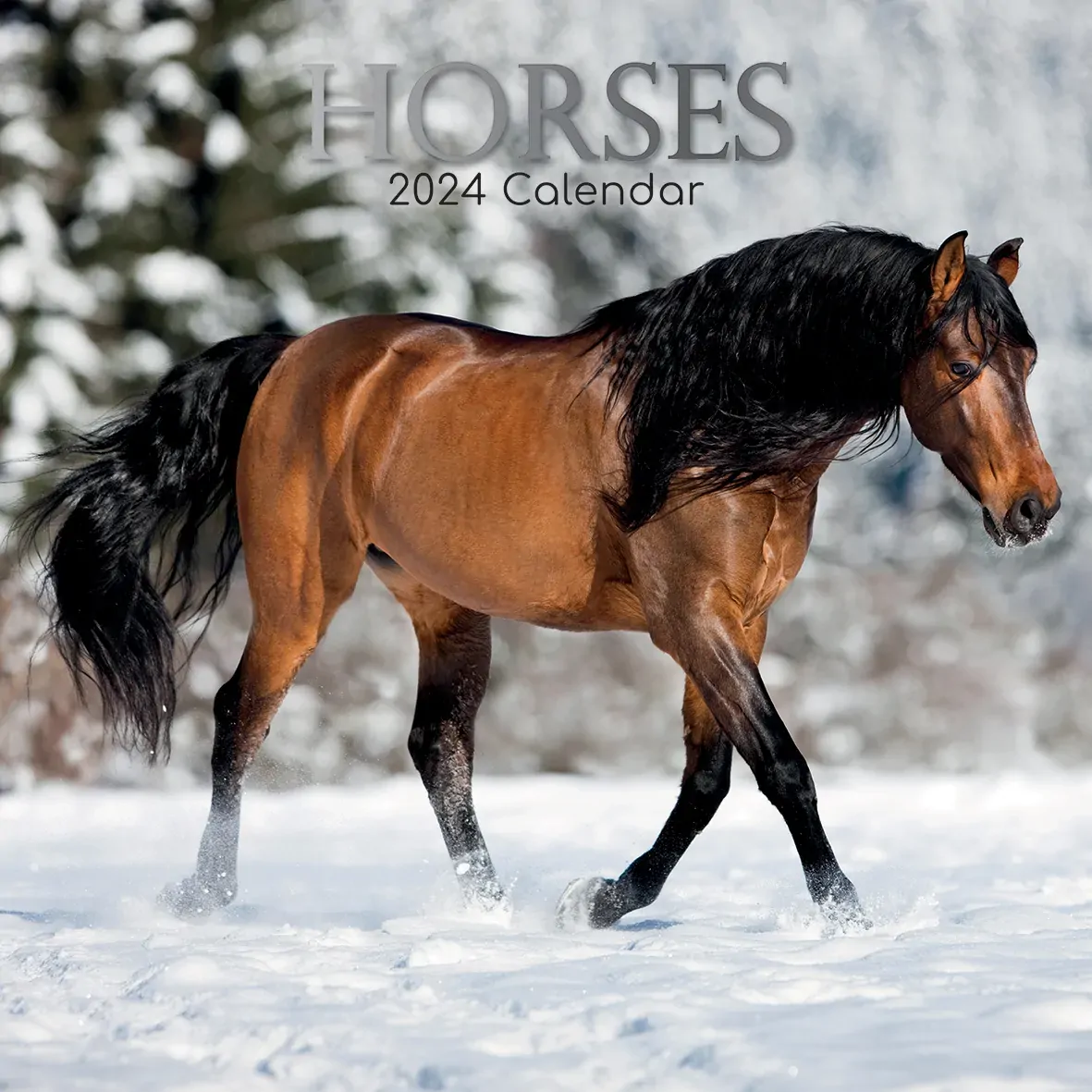 Horses - 2024 Square Wall Calendar Pets Animals 16 Months New Year Planner Gift Horses - 2024 Square Wall Calendar Pets Animals 16 Months New Year Planner Gift