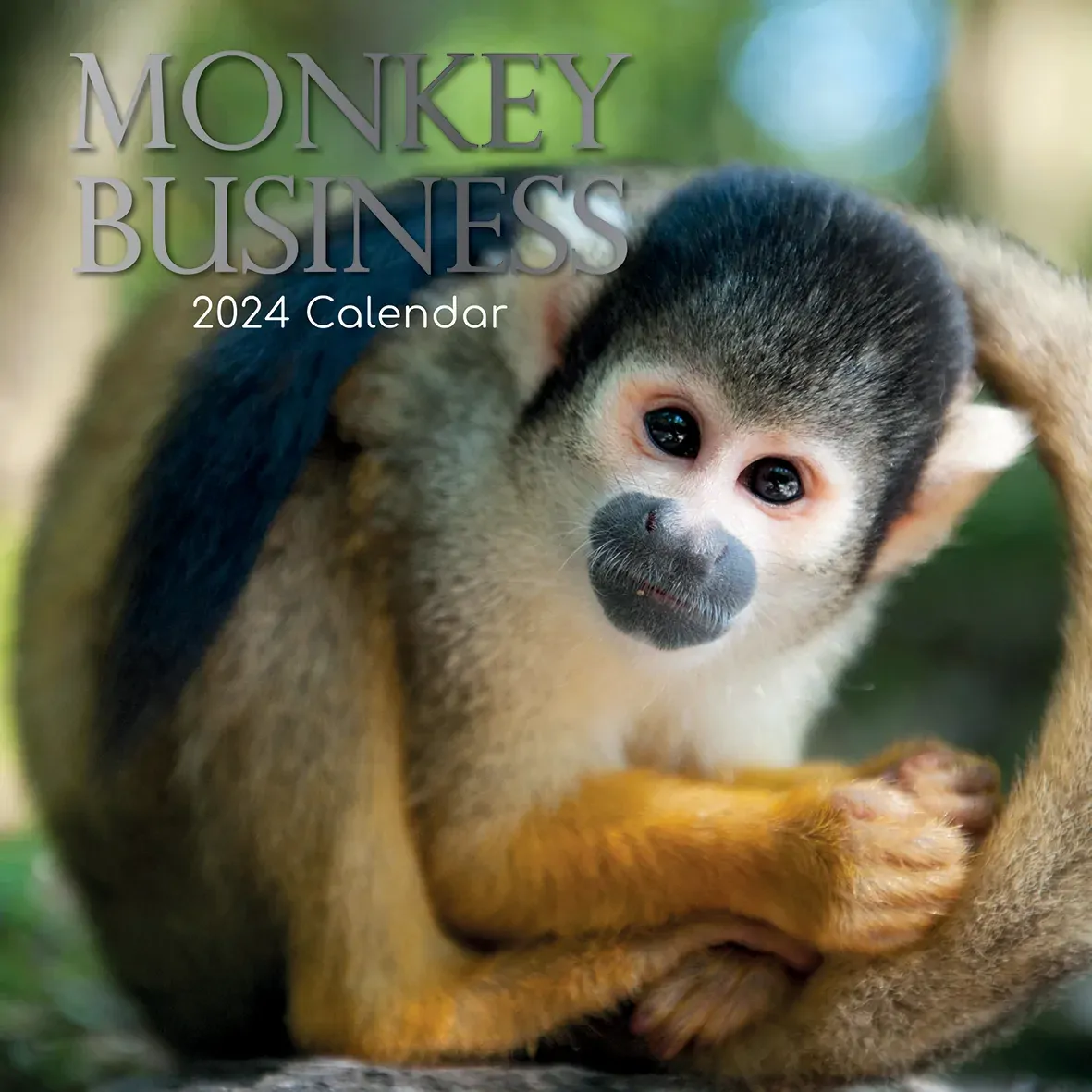 Monkey Business 2024 Square Wall Calendar Pets Animals 16 Months Premium Planner Monkey Business 2024 Square Wall Calendar Pets Animals 16 Months Premium Planner
