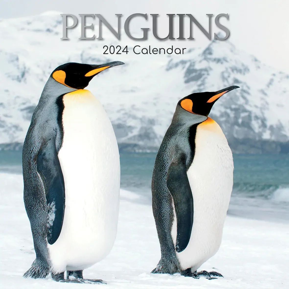 Penguins - 2024 Square Wall Calendar Pets Animals 16 Month New Year Gift Planner Penguins - 2024 Square Wall Calendar Pets Animals 16 Month New Year Gift Planner