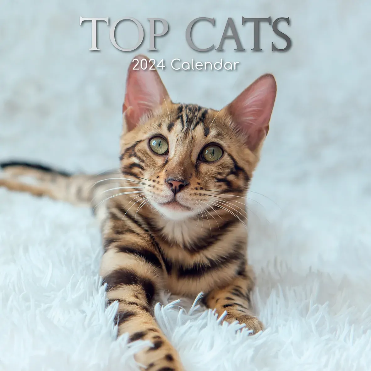 Top Cats - 2024 Square Wall Calendar Pets Animals 16 Months Premium Planner Gift Top Cats - 2024 Square Wall Calendar Pets Animals 16 Months Premium Planner Gift