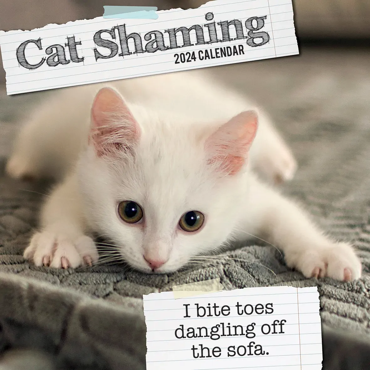 Cat Shaming - 2024 Square Wall Calendar Pets Animals 16 Months Premium Planner Cat Shaming - 2024 Square Wall Calendar Pets Animals 16 Months Premium Planner