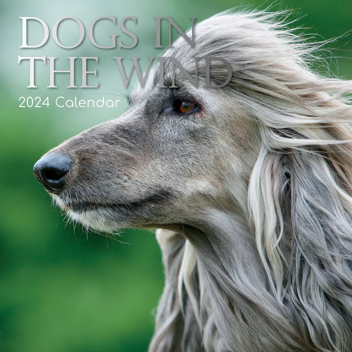 Dogs in the Wind 2024 Square Wall Calendar Pets Animals 16 Month Premium Planner Dogs in the Wind 2024 Square Wall Calendar Pets Animals 16 Month Premium Planner