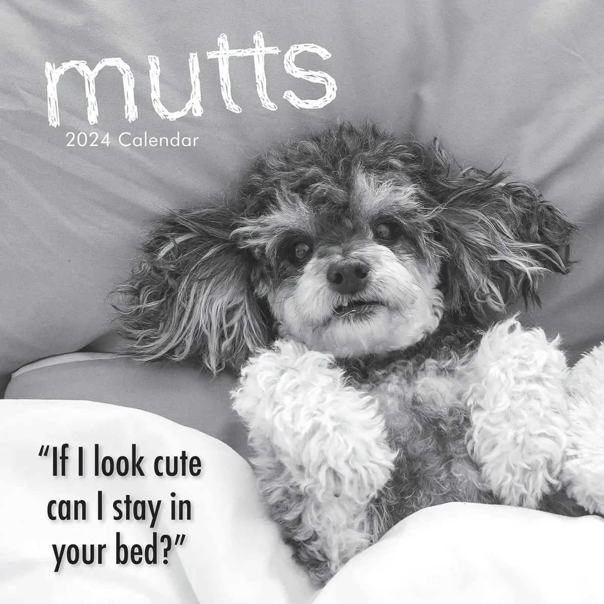 Mutts - 2024 Square Wall Calendar Pets Animals 16 Month Premium Planner New Year Mutts - 2024 Square Wall Calendar Pets Animals 16 Month Premium Planner New Year