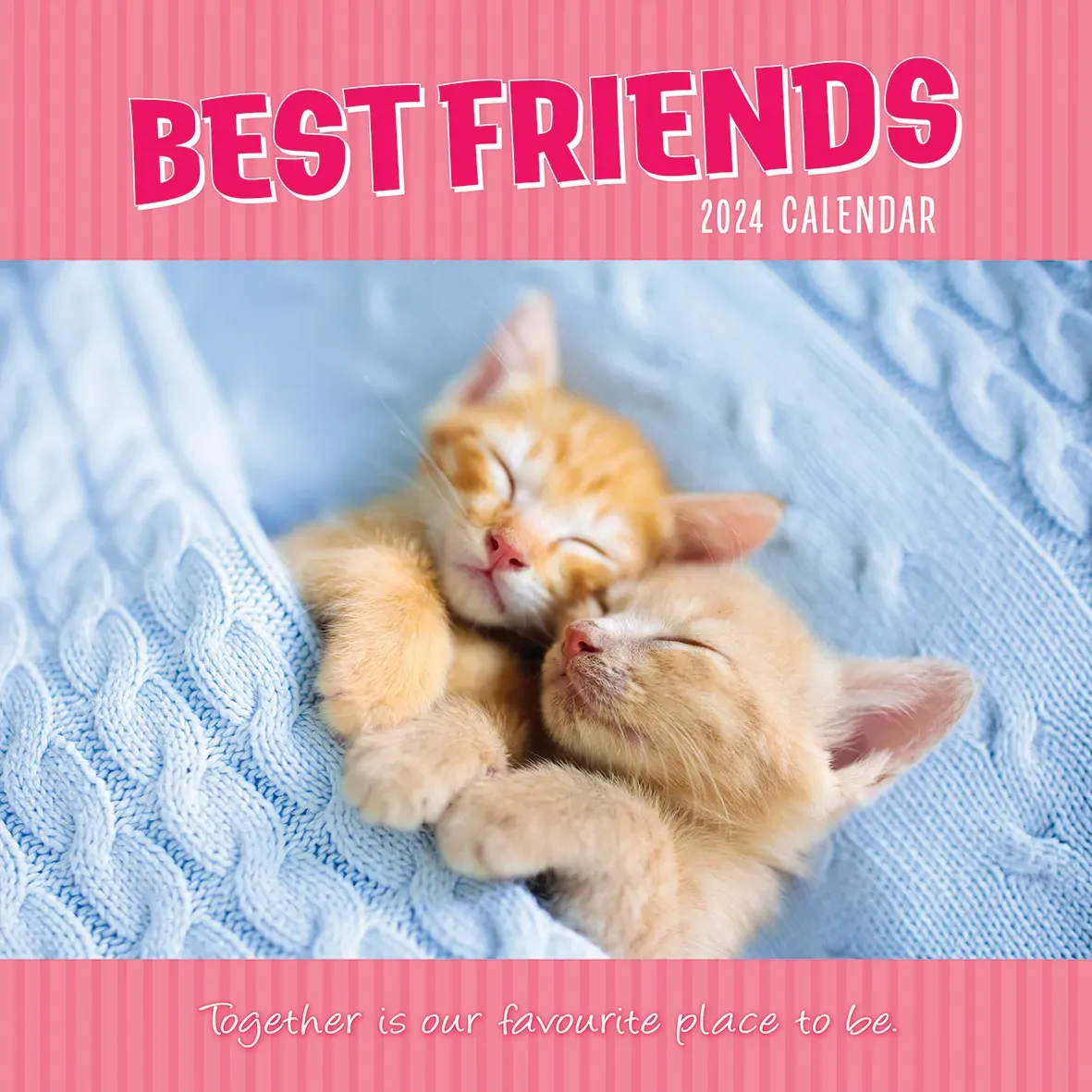 Best Friends - 2024 Square Wall Calendar Pets Animals 16 Months Premium Planner Best Friends - 2024 Square Wall Calendar Pets Animals 16 Months Premium Planner