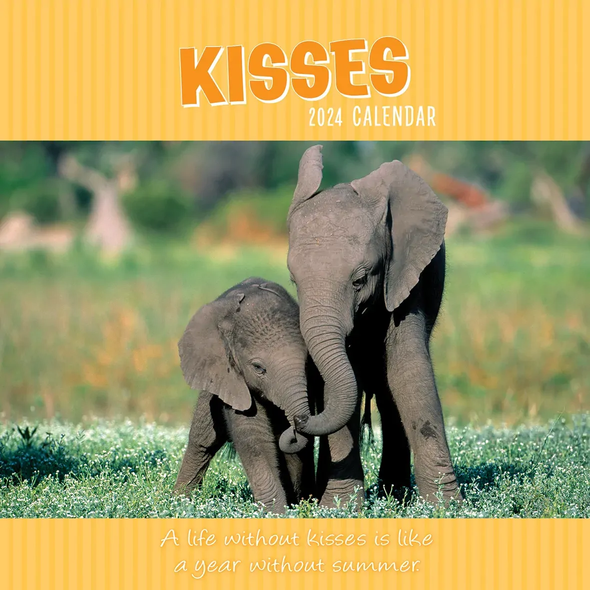 Kisses 2024 Square Wall Calendar Pets Animals 16 Months Premium Planner New Year Kisses 2024 Square Wall Calendar Pets Animals 16 Months Premium Planner New Year