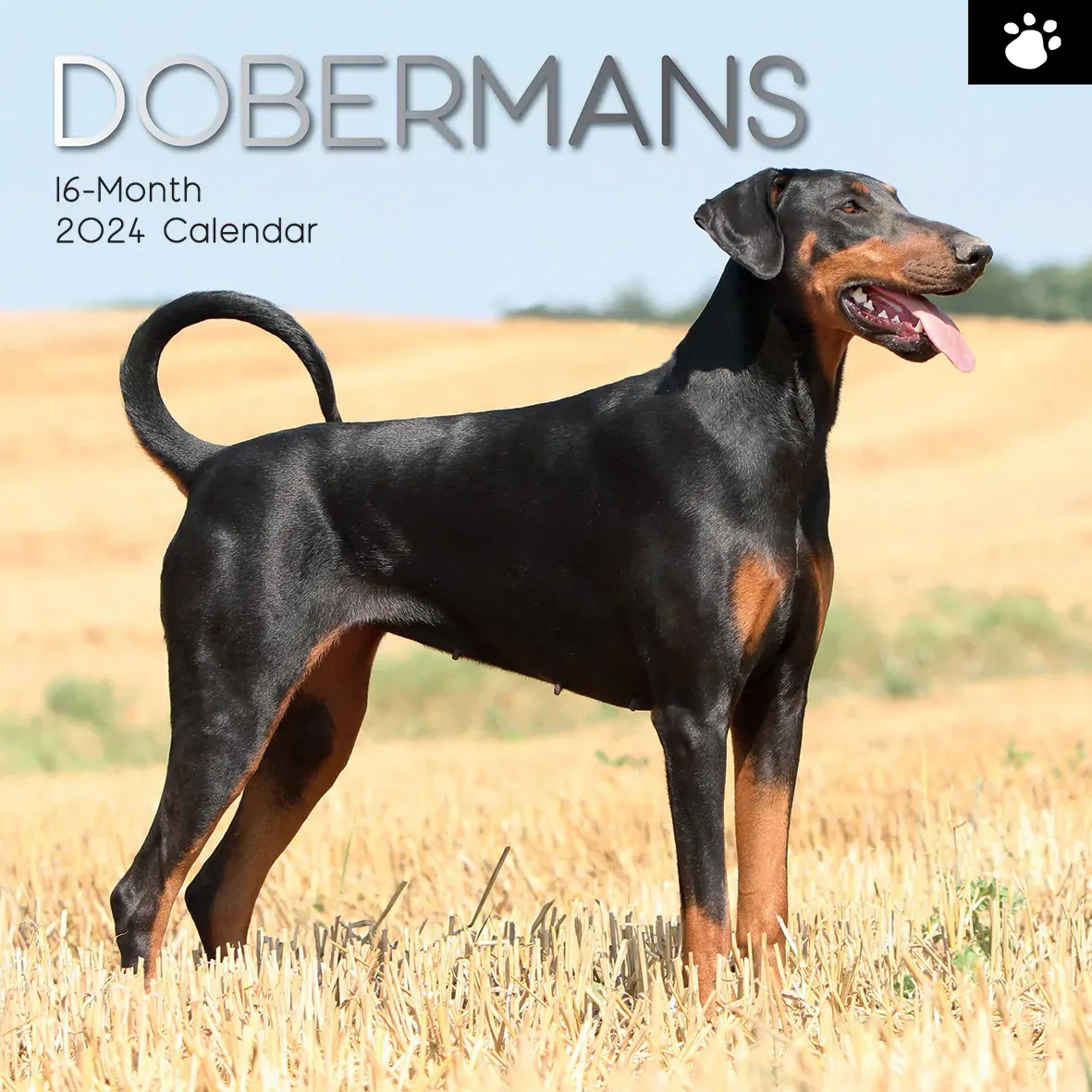 Dobermans - 2024 Square Wall Calendar Pets Dog 16 Month Premium Planner New Year Dobermans - 2024 Square Wall Calendar Pets Dog 16 Month Premium Planner New Year