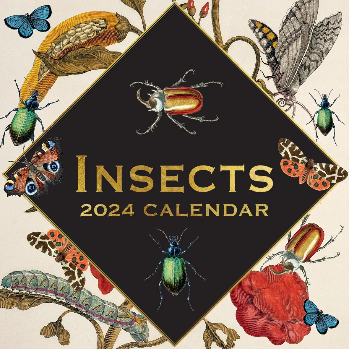Insects 2024 Square Wall Calendar 16 Months Arts Planner Christmas New Year Gift Insects 2024 Square Wall Calendar 16 Months Arts Planner Christmas New Year Gift