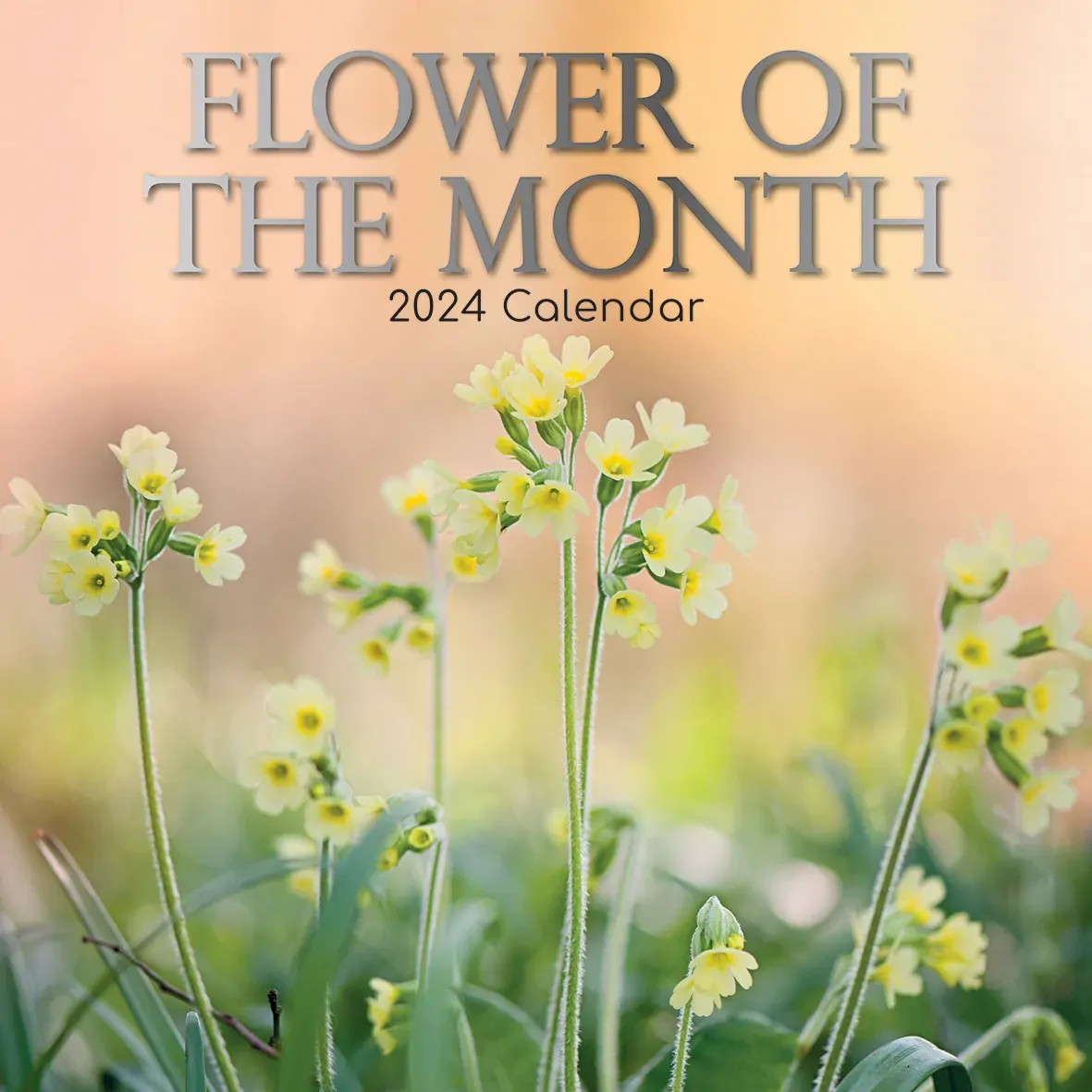 Flower of the Month - 2024 Square Wall Calendar 16 Months Floral Planner Gift Flower of the Month - 2024 Square Wall Calendar 16 Months Floral Planner Gift