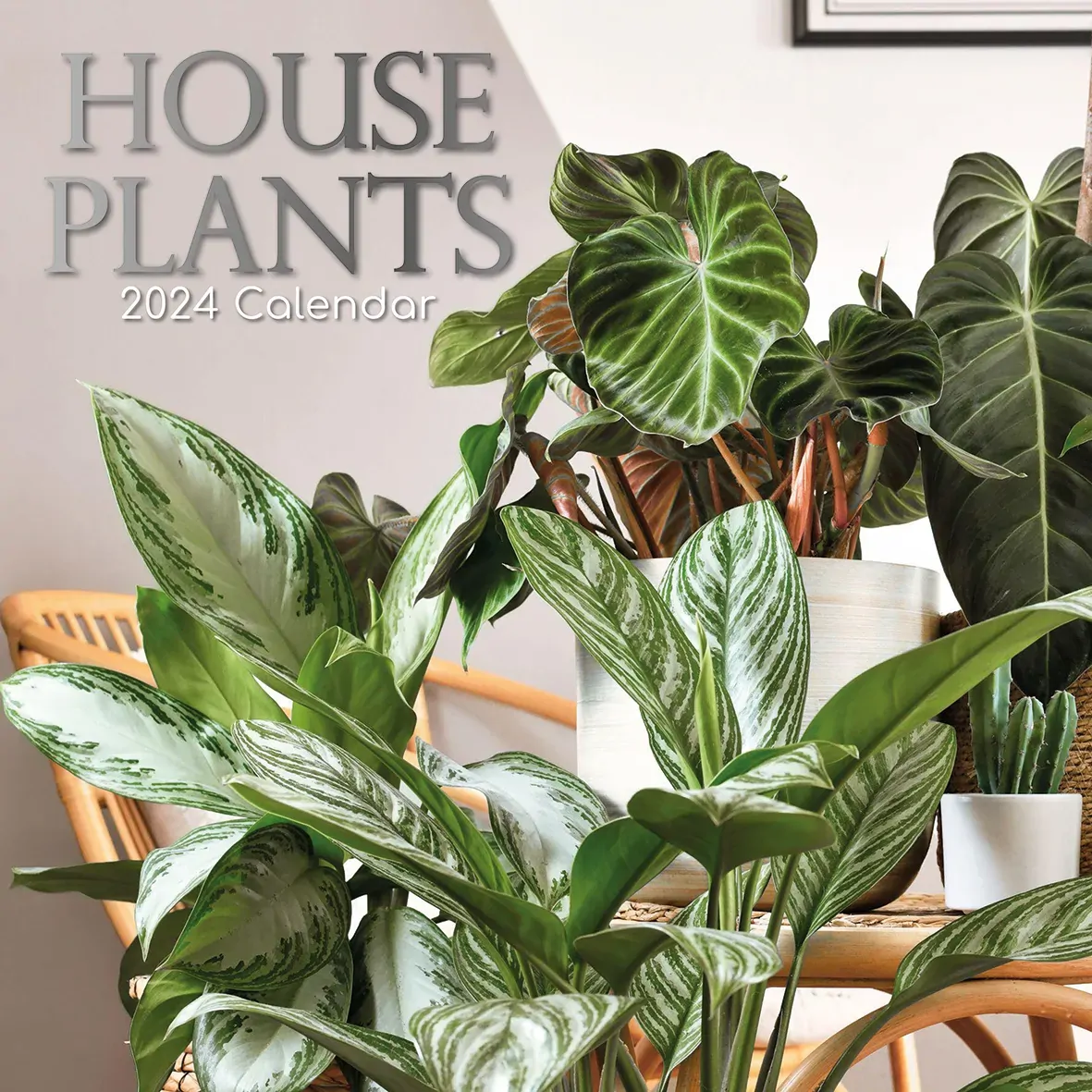House Plants - 2024 Square Wall Calendar 16 Months Floral Flower Planner New Year Gift House Plants - 2024 Square Wall Calendar 16 Months Floral Flower Planner New Year Gift