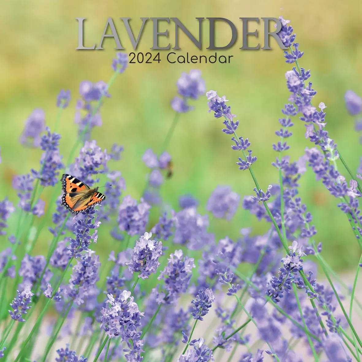 Lavender 2024 Square Wall Calendar 16 Months Floral Flower Planner New Year Gift Lavender 2024 Square Wall Calendar 16 Months Floral Flower Planner New Year Gift